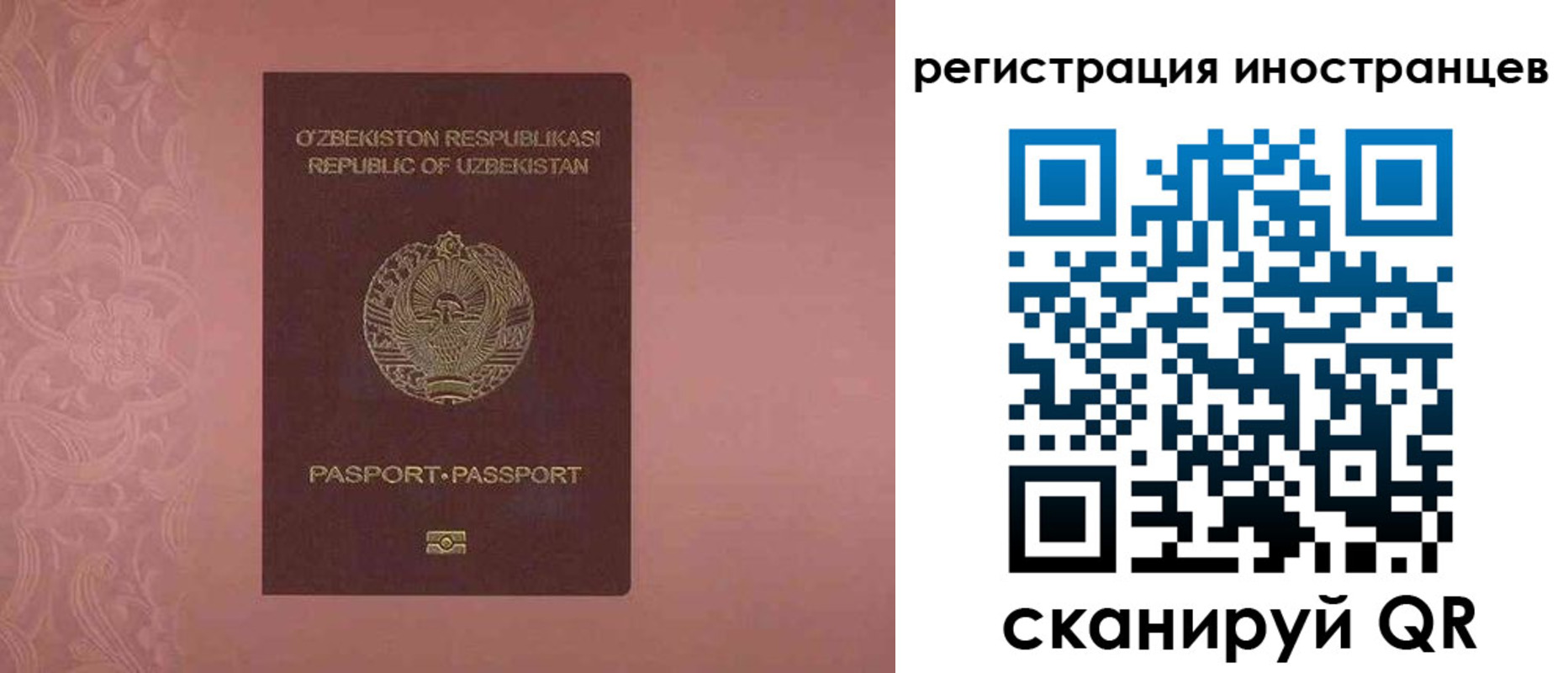 временная регистрация госуслуги в Всеволожске